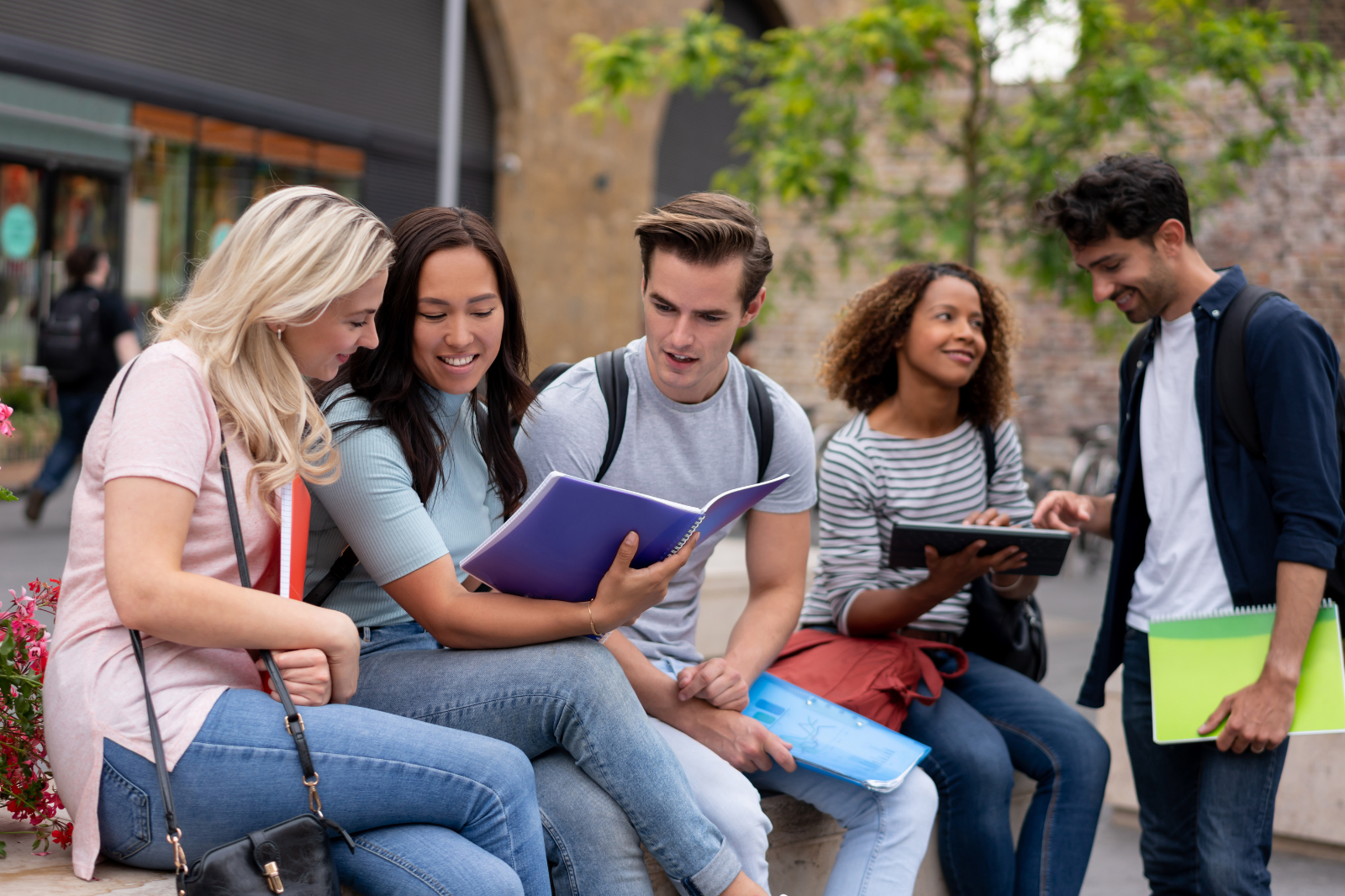 STUDY ABROAD